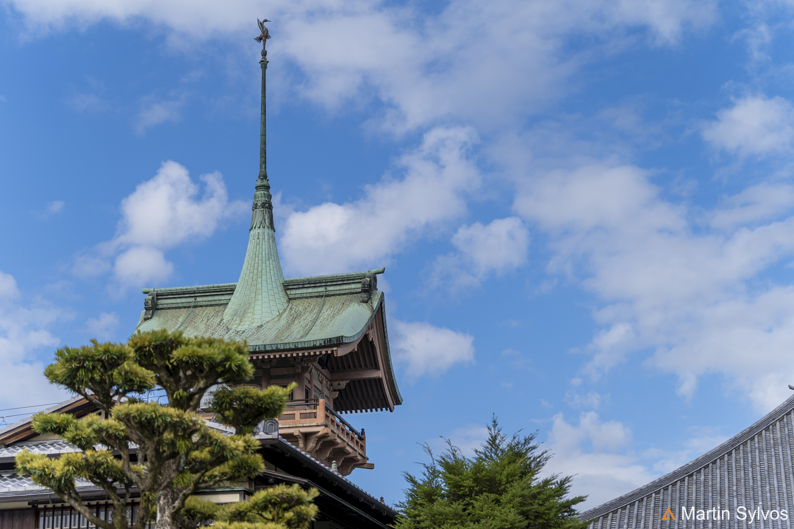 2025 Japon martin sylvos 31